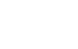 D-Link Networking Partner